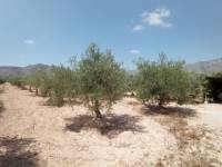 Venta - Casa cueva - Hondon De Las Nieves