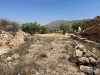 Venta - Plot - Barbarroja