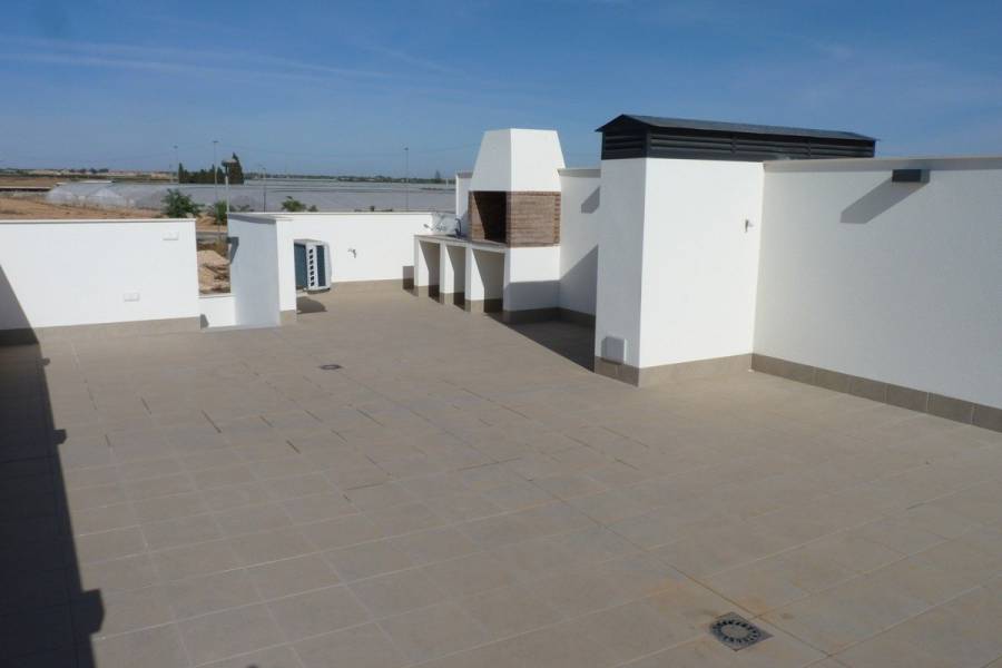 New Build - Apartment - Pilar de la Horadada - PILAR DE LA HORADADA