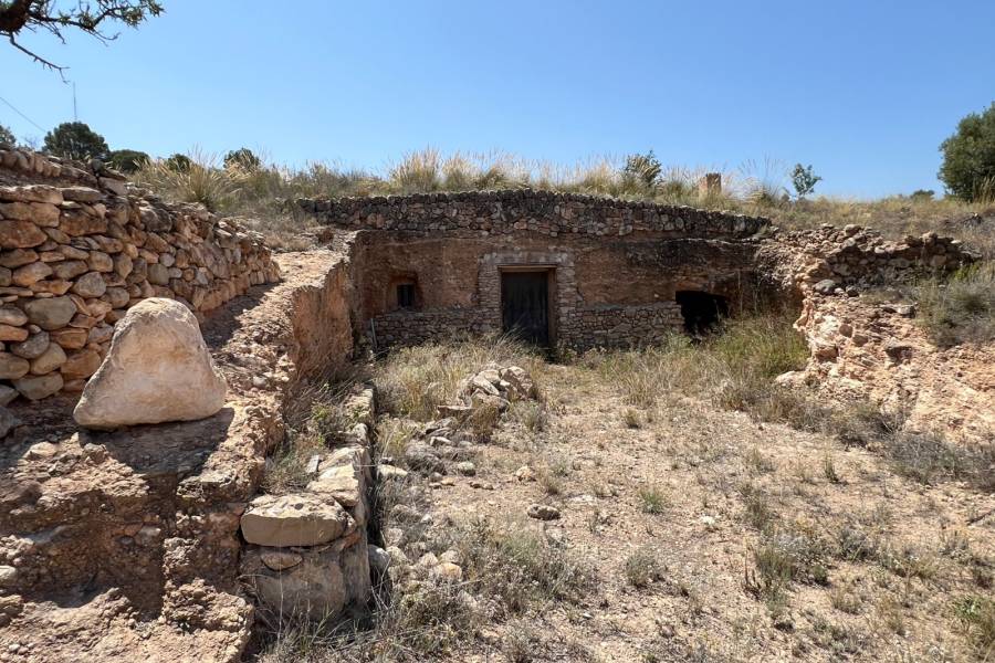 Venta - Plot - Barbarroja
