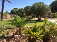 Venta - Chalet - Elche  - Perleta