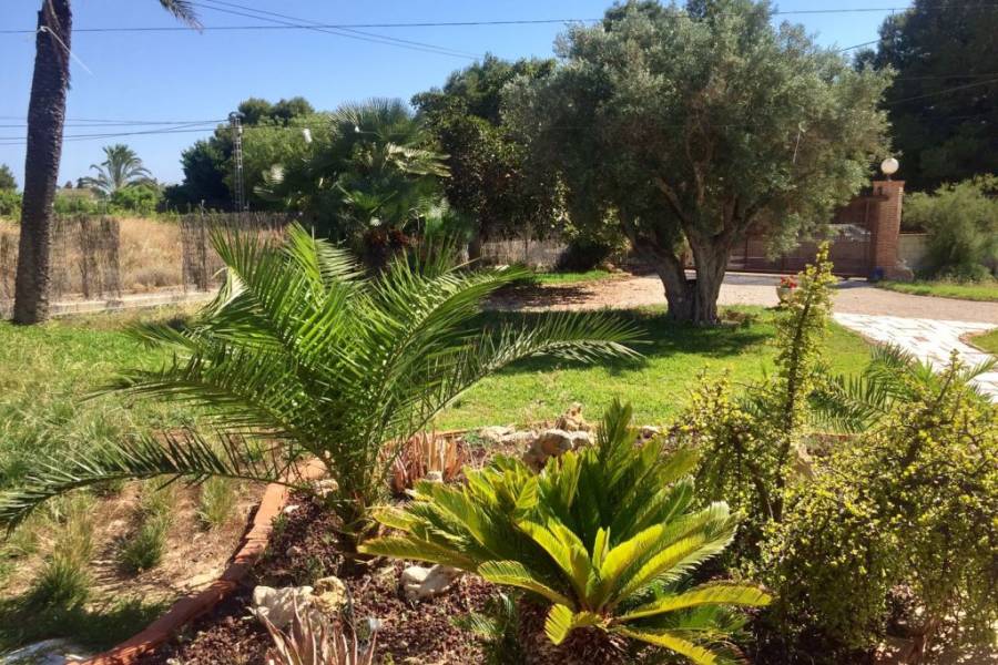 Venta - Chalet - Elche  - Perleta