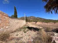 Re-sale - Country house - Hondon De Los Frailes - BARBAROJA