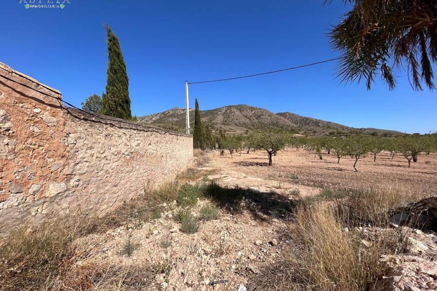 Re-sale - Country house - Hondon De Los Frailes - BARBAROJA