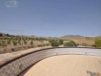 Re-sale - Country house - Pinoso