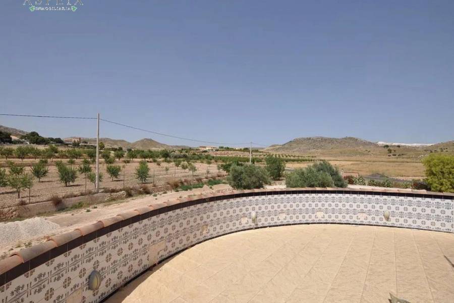 Re-sale - Country house - Pinoso