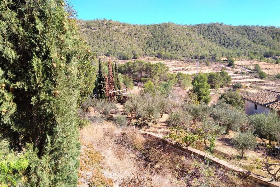 Re-sale - Country house - La Romana - LA ROMANETA