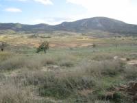 Venta - Chalet - La Romana - ALGALLAT