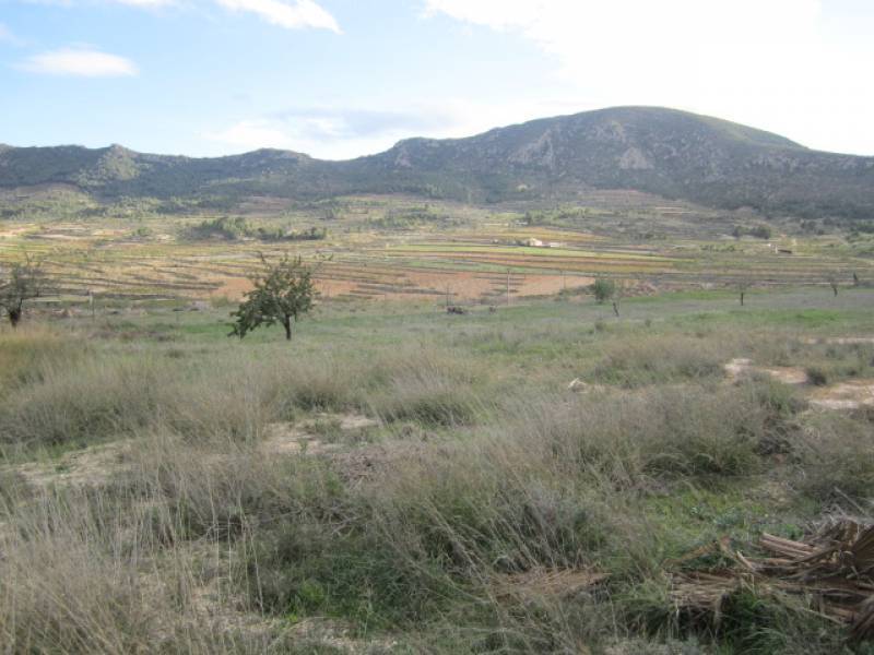 Venta - Chalet - La Romana - ALGALLAT