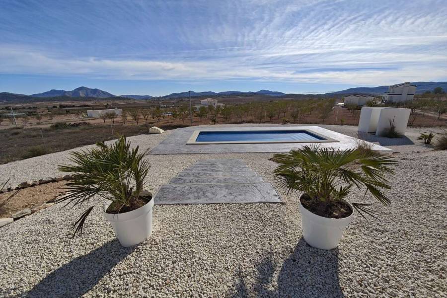 New Build - Country house - Pinoso