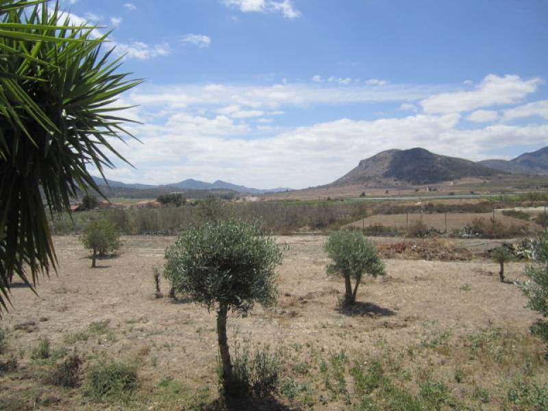 Venta - Chalet - La Romana - ALCANÁ