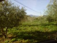 Venta - Casa de campo - Aspe