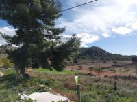 Venta - Casa de campo - Monovar