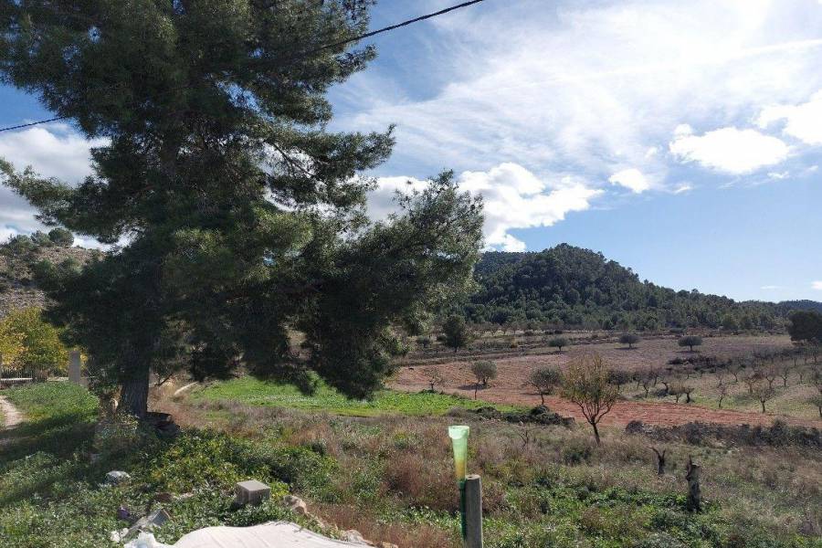 Venta - Casa de campo - Monovar