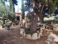 Re-sale - Country house - Novelda - CAMPET