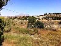 Venta - Casa de campo - Monforte Del Cid - Monforte cid