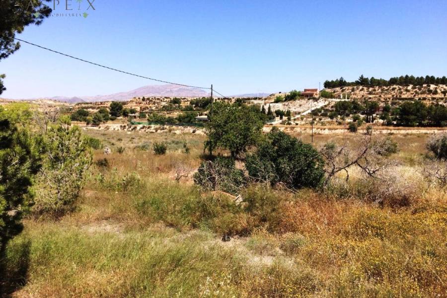 Venta - Casa de campo - Monforte Del Cid - Monforte cid