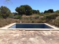 Venta - Casa de campo - Monforte Del Cid - Monforte cid