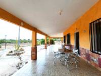 Venta - Casa de campo - Aspe