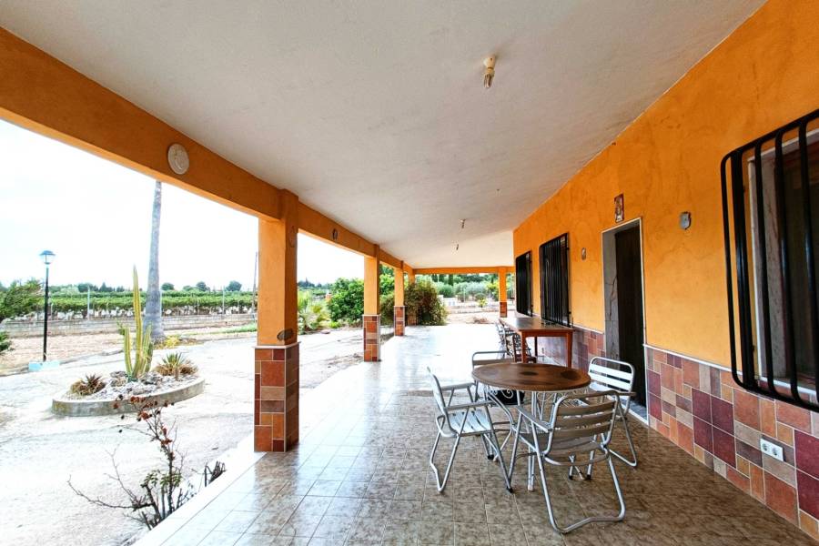 Venta - Casa de campo - Aspe