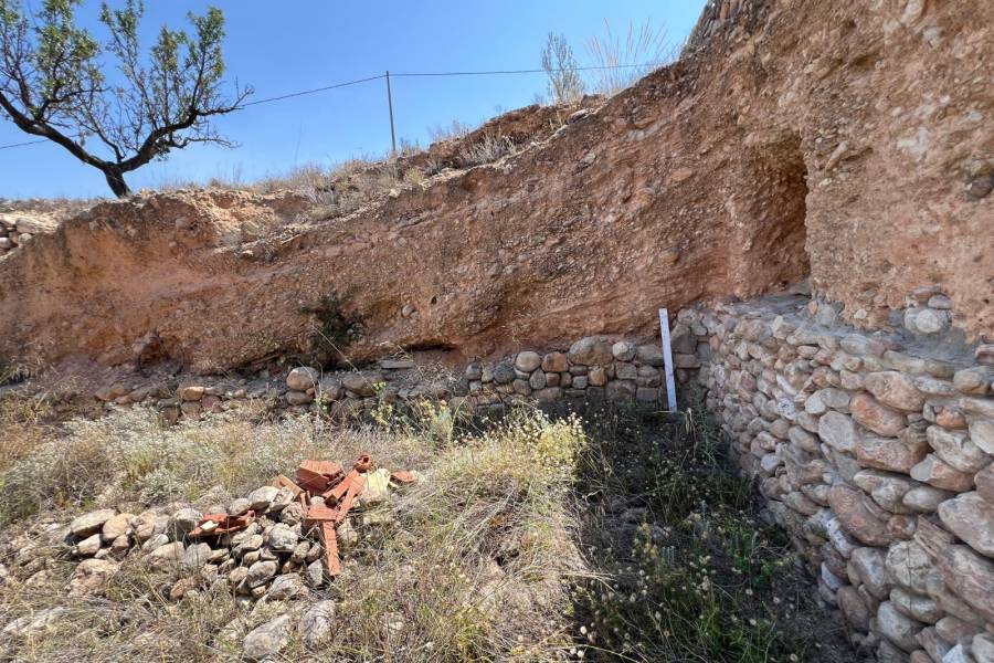 Venta - Plot - Barbarroja