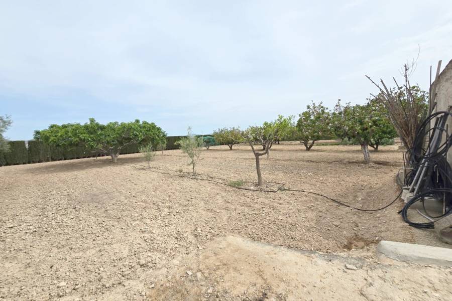 Re-sale - Country house - Aspe