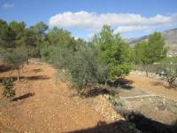 Re-sale - Country house - Hondon De Las Nieves - LA CANALOSA