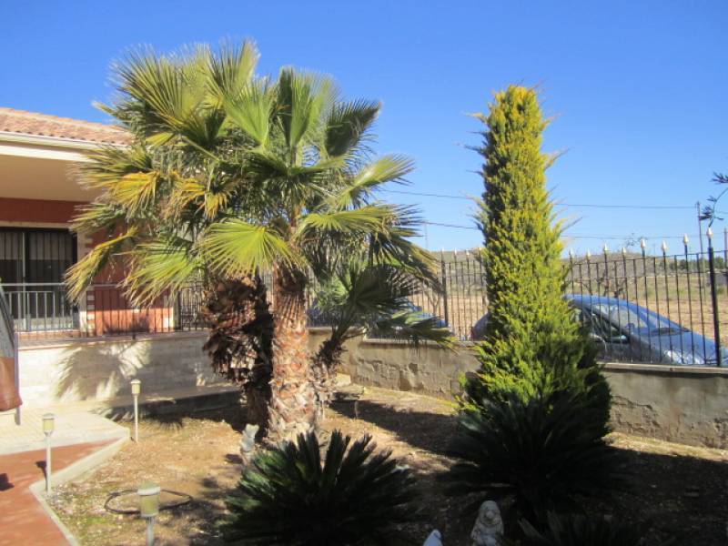 Venta - Casa de campo - Hondon De Los Frailes - PUEBLO