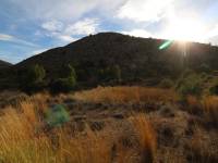 Venta - Casa de campo - Aspe - La ofra