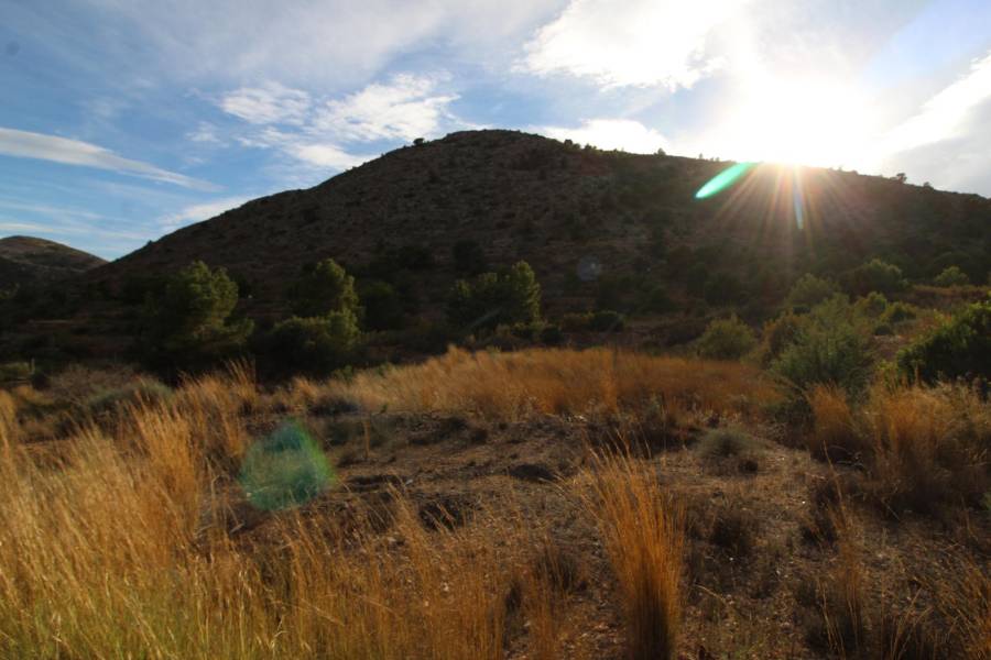 Venta - Casa de campo - Aspe - La ofra