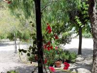 Venta - Chalet - Novelda - CUCUCH