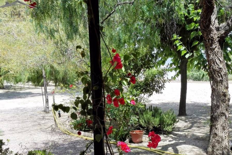 Venta - Chalet - Novelda - CUCUCH