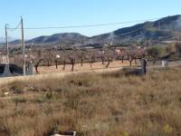 Venta - Plot - Hondon De Los Frailes