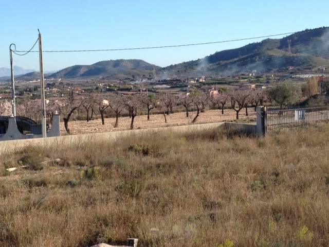 Venta - Plot - Hondon De Los Frailes