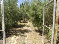 Re-sale - Country house - Crevillente