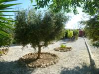 Re-sale - Country house - Monforte Del Cid