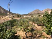 Re-sale - Country house - Hondon De Los Frailes - Hamlet of El Canton