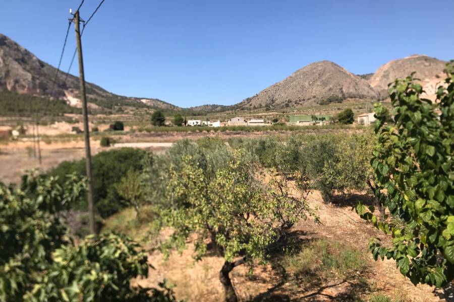 Venta - Casa de campo - Hondon De Los Frailes - Hamlet of El Canton