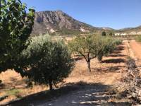 Re-sale - Country house - Hondon De Los Frailes - Hamlet of El Canton