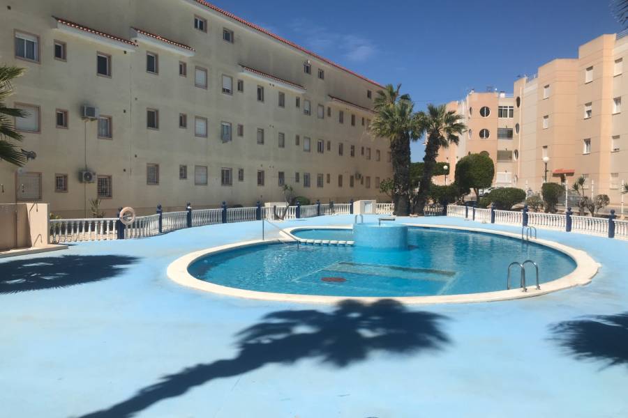 Venta - Apartamento - Torrevieja