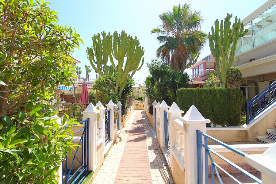 Venta - Duplex - Playa Flamenca - Alicante