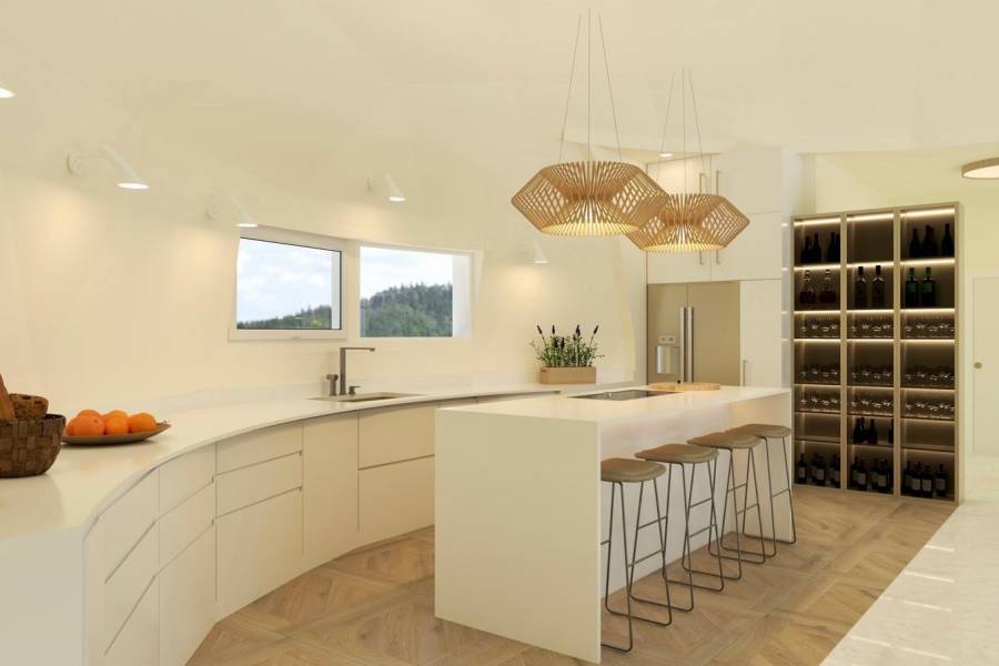 Obra Nueva - Casa de campo - Pinoso